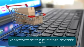 الوثوقية الرقمية.. طرق سهلة للتحقق من مصداقية المتاجر الإلكترونية قبل الشراء